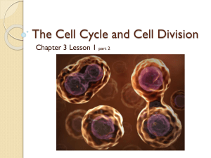 The Cell Cycle and Cell Division Chapter 3 Lesson 1 part 2