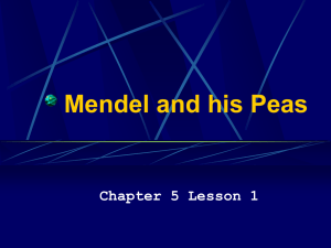 Mendel and his Peas Chapter 5 Lesson 1