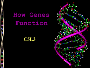 How Genes Function C5L3