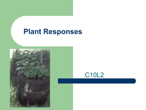 Plant Responses C10L2