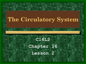 The Circulatory System C16L2 Chapter 16 Lesson 2