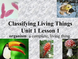 Classifying Living Things Unit 1 Lesson 1 organism