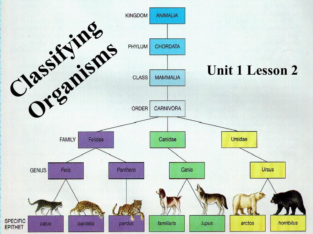 Unit 1 Lesson 2