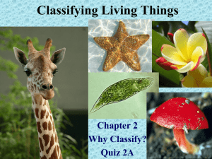 Classifying Living Things Chapter 2 Why Classify? Quiz 2A
