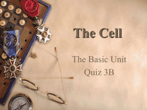 The Cell The Basic Unit Quiz 3B