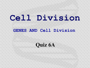 Cell Division Quiz 6A GENES AND Cell Division