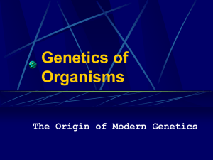 Genetics of Organisms The Origin of Modern Genetics