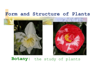 Form and Structure of Plants Botany: the study of plants