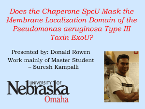 Does the Chaperone SpcU Mask the Membrane Localization Domain of the
