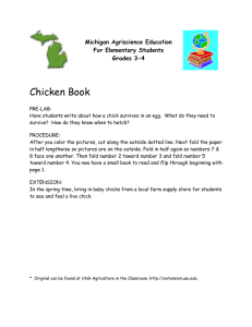 Chicken Book Michigan Agriscience Education For Elementary Students
