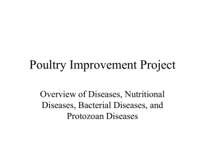 Poultry Improvement Project Overview of Diseases, Nutritional Diseases, Bacterial Diseases, and Protozoan Diseases