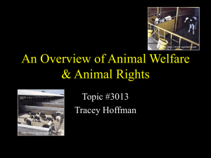 An Overview of Animal Welfare &amp; Animal Rights Topic #3013 Tracey Hoffman