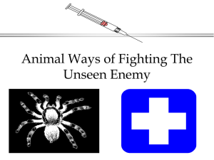 Animal Ways of Fighting The Unseen Enemy