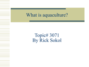 What is aquaculture? Topic# 3071 By Rick Sokol