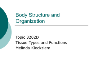 Body Structure and Organization Topic 3202D Tissue Types and Functions