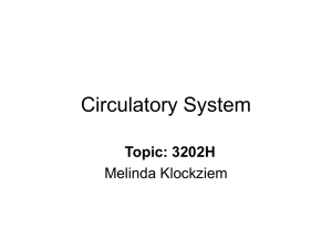 Circulatory System Topic: 3202H Melinda Klockziem