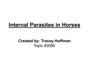 Internal Parasites in Horses Created by: Tracey Hoffman Topic #3080