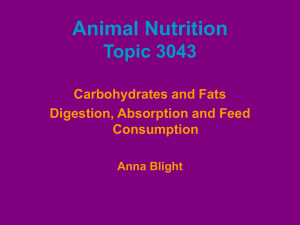 Animal Nutrition Topic 3043 Carbohydrates and Fats Digestion, Absorption and Feed