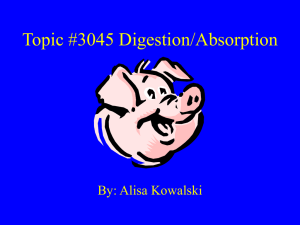 Topic #3045 Digestion/Absorption By: Alisa Kowalski