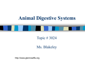 Animal Digestive Systems Topic # 3024 Ms. Blakeley