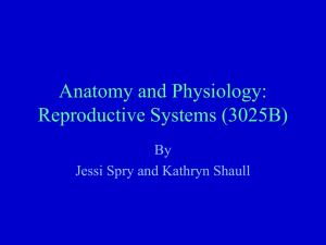 Anatomy and Physiology: Reproductive Systems (3025B) By Jessi Spry and Kathryn Shaull