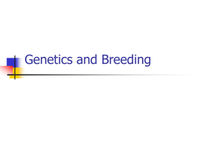 Genetics and Breeding