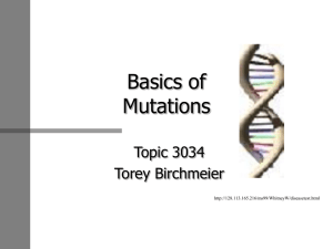 Basics of Mutations Topic 3034 Torey Birchmeier