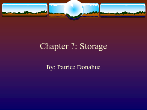 Chapter 7: Storage By: Patrice Donahue