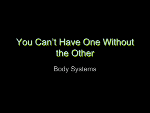 You Can’t Have One Without the Other Body Systems