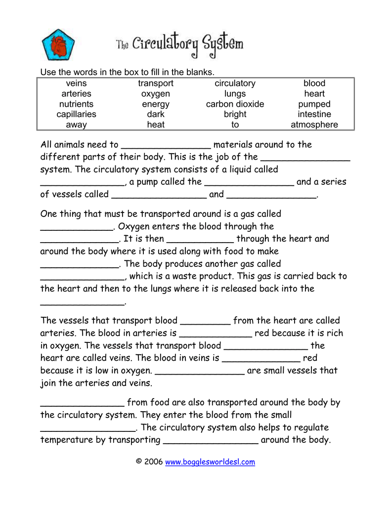 Use the words in the box to fill in the veins transport circulatory Within Circulatory System Worksheet Pdf