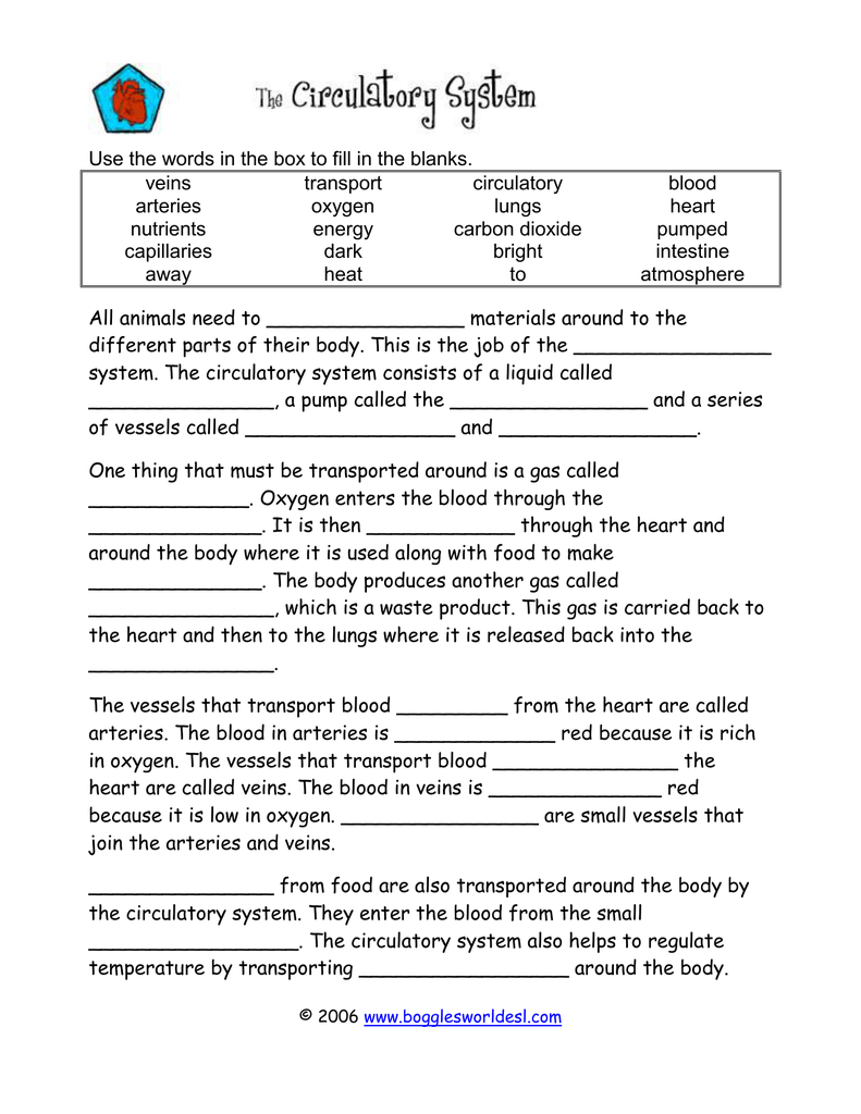 Use the words in the box to fill in the veins transport circulatory With Regard To The Circulatory System Worksheet