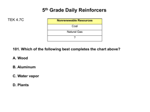 5 Grade Daily Reinforcers TEK 4.7C