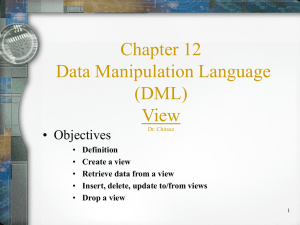 Chapter 12 Data Manipulation Language (DML) View