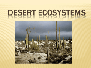DESERT ECOSYSTEMS