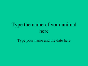 Type the name of your animal here