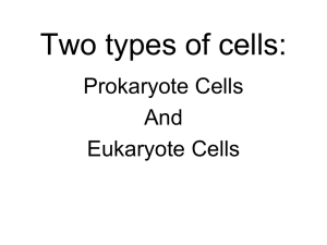 Two types of cells: Prokaryote Cells And Eukaryote Cells