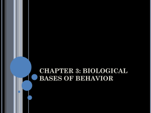 CHAPTER 3: BIOLOGICAL BASES OF BEHAVIOR