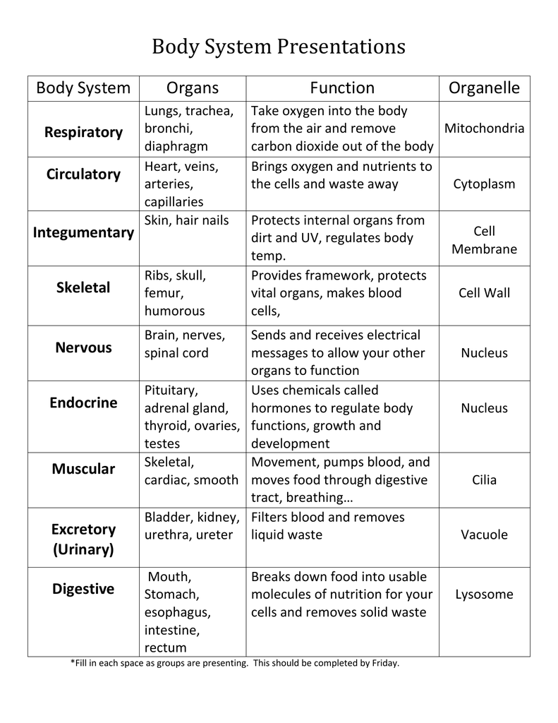 body-system-presentations-body-system-organs-function