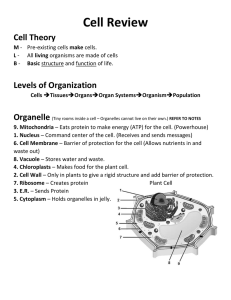 Cell Review Cell Theory Levels of Organization Organelle