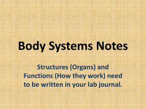 Body Systems Notes Structures (Organs) and Functions (How they work) need