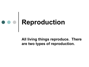 Reproduction All living things reproduce.  There are two types of reproduction.