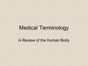 Medical Terminology A Review of the Human Body