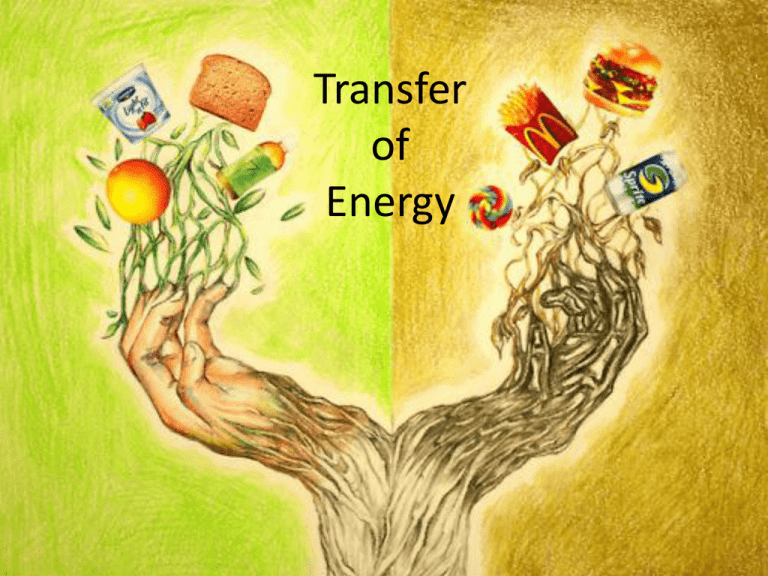 Transfer Of Energy