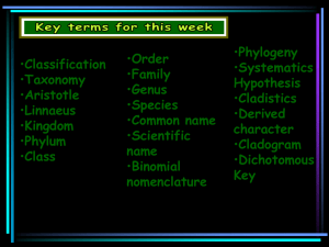 Phylogeny Order Classification Systematics