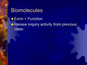 Biomolecules Form = Function Review inquiry activity from previous class.