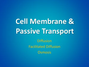 Cell Membrane &amp; Passive Transport Diffusion Facilitated Diffusion