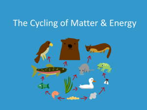 The Cycling of Matter &amp; Energy