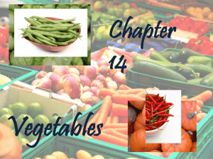 Vegetables Chapter 14