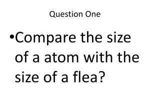 •Compare the size of a atom with the size of a flea?