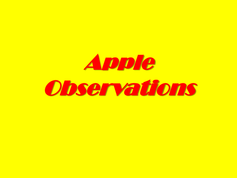 apple-observations